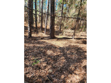 Come build your East Texas dream home St beautiful Lake Sam on Rayburn Country Club in Texas - for sale on GolfHomes.com, golf home, golf lot