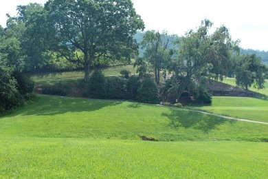 Welcome to the serene and picturesque Mountain Harbour Golf on Mountain Harbour Golf Club in North Carolina - for sale on GolfHomes.com, golf home, golf lot