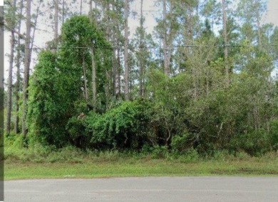 Gorgeous oversize freshwater canal lot located on a lovely on The Grand Club Cypress Course in Florida - for sale on GolfHomes.com, golf home, golf lot