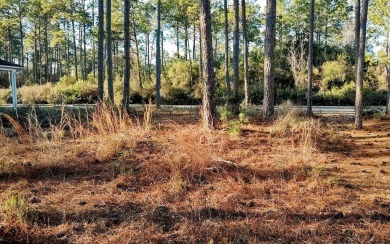 CARPET ALLOWANCE with an acceptable offer!!  A NEW ROOF in 2024 on St. James Bay in Florida - for sale on GolfHomes.com, golf home, golf lot