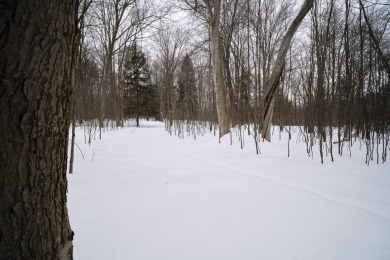 Exceptionally beautiful piece of land very close to Lake on The Heathlands in Michigan - for sale on GolfHomes.com, golf home, golf lot