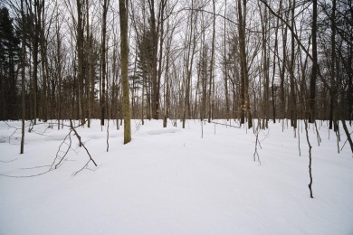 Exceptionally beautiful piece of land very close to Lake on The Heathlands in Michigan - for sale on GolfHomes.com, golf home, golf lot