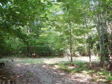 Exceptionally beautiful piece of land very close to Lake on The Heathlands in Michigan - for sale on GolfHomes.com, golf home, golf lot