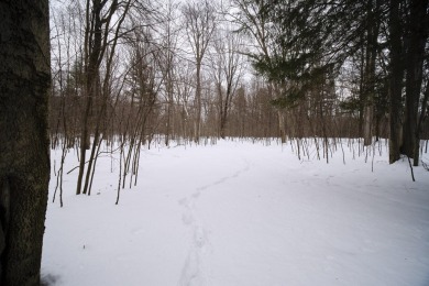 Exceptionally beautiful piece of land very close to Lake on The Heathlands in Michigan - for sale on GolfHomes.com, golf home, golf lot