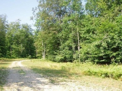 Exceptionally beautiful piece of land very close to Lake on The Heathlands in Michigan - for sale on GolfHomes.com, golf home, golf lot