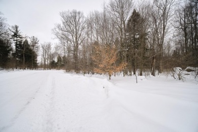 Exceptionally beautiful piece of land very close to Lake on The Heathlands in Michigan - for sale on GolfHomes.com, golf home, golf lot