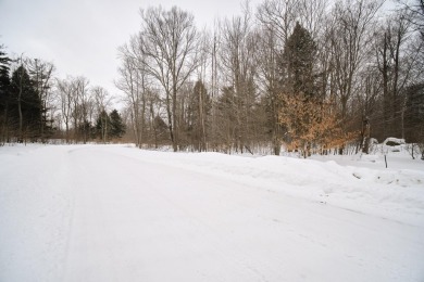 Exceptionally beautiful piece of land very close to Lake on The Heathlands in Michigan - for sale on GolfHomes.com, golf home, golf lot