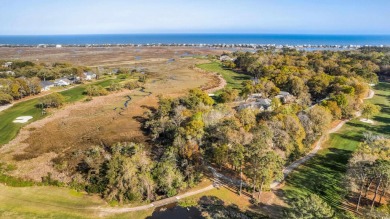 Lots are the most difficult to describe because you have to on Pawleys Plantation Golf and Country Club in South Carolina - for sale on GolfHomes.com, golf home, golf lot