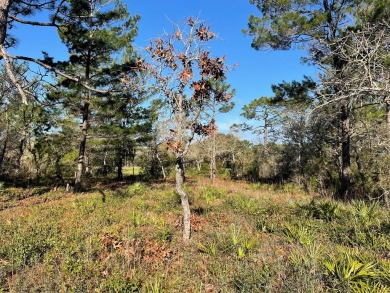 Great building lot located on hole number 10 at the Audubon on St. James Bay in Florida - for sale on GolfHomes.com, golf home, golf lot