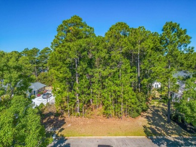 Gorgeous .53 acre lot in the Parkland, a Golf Community in on Legends Golf Club in South Carolina - for sale on GolfHomes.com, golf home, golf lot
