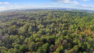 Serene Haven at Rayburn Country: Embrace the Tranquility of Lake on Rayburn Country Club in Texas - for sale on GolfHomes.com, golf home, golf lot