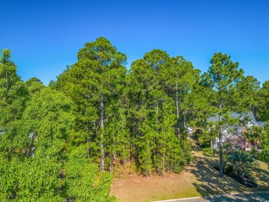 Gorgeous .53 acre lot in the Parkland, a Golf Community in on Legends Golf Club in South Carolina - for sale on GolfHomes.com, golf home, golf lot