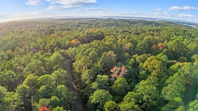 Serene Haven at Rayburn Country: Embrace the Tranquility of Lake on Rayburn Country Club in Texas - for sale on GolfHomes.com, golf home, golf lot