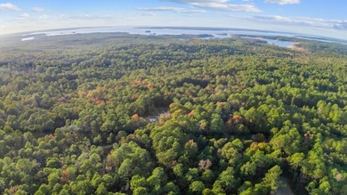 Serene Haven at Rayburn Country: Embrace the Tranquility of Lake on Rayburn Country Club in Texas - for sale on GolfHomes.com, golf home, golf lot