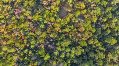Serene Haven at Rayburn Country: Embrace the Tranquility of Lake on Rayburn Country Club in Texas - for sale on GolfHomes.com, golf home, golf lot