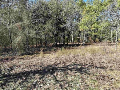 Easy to build level lot with a large section of common property on Isabella Golf Course  in Arkansas - for sale on GolfHomes.com, golf home, golf lot