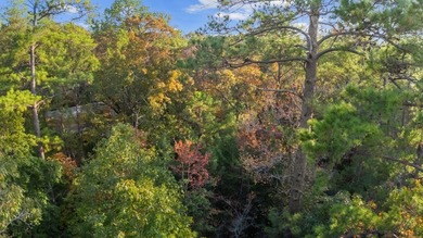 Serene Haven at Rayburn Country: Embrace the Tranquility of Lake on Rayburn Country Club in Texas - for sale on GolfHomes.com, golf home, golf lot