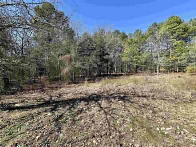 Easy to build level lot with a large section of common property on Isabella Golf Course  in Arkansas - for sale on GolfHomes.com, golf home, golf lot