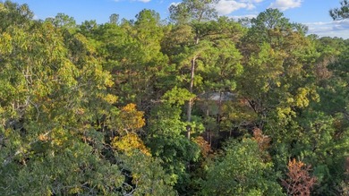 Serene Haven at Rayburn Country: Embrace the Tranquility of Lake on Rayburn Country Club in Texas - for sale on GolfHomes.com, golf home, golf lot