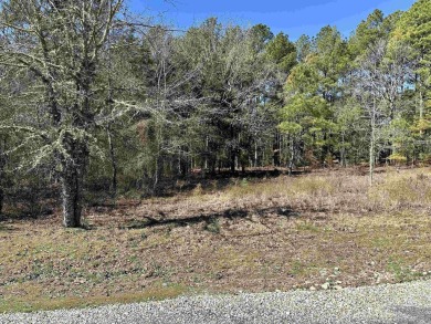 Easy to build level lot with a large section of common property on Isabella Golf Course  in Arkansas - for sale on GolfHomes.com, golf home, golf lot