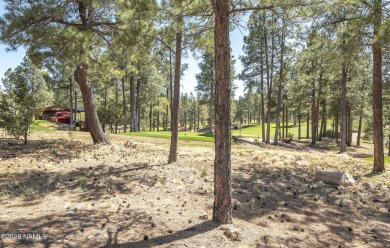 Exceptional home site nestled amongst mature ponderosa pines on on Pine Canyon Golf Course in Arizona - for sale on GolfHomes.com, golf home, golf lot