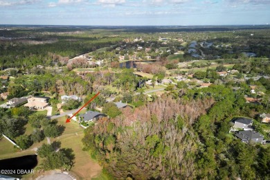 A rare vacant lot in Sugar Mill!   Great location, uniquely on Sugar Mill Country Club in Florida - for sale on GolfHomes.com, golf home, golf lot