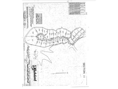 Scenic Baneberry Homesite Opportunity - Parcel 030.00 Sunny Ct

 on Baneberry Golf and Resort Club in Tennessee - for sale on GolfHomes.com, golf home, golf lot