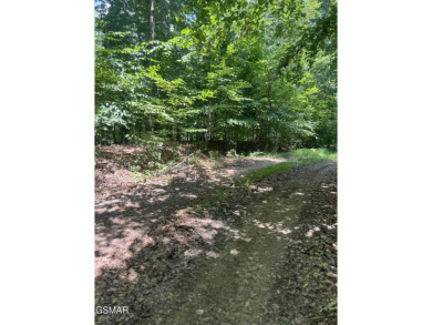 Scenic Baneberry Homesite Opportunity - Parcel 030.00 Sunny Ct

 on Baneberry Golf and Resort Club in Tennessee - for sale on GolfHomes.com, golf home, golf lot