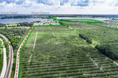 Very Rare Large Acreage for Sale in Avon Park, FL - 140.31 Acres on River Greens Golf Course in Florida - for sale on GolfHomes.com, golf home, golf lot