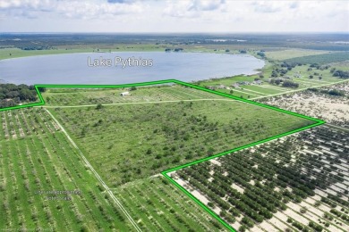 Very Rare Large Acreage for Sale in Avon Park, FL - 140.31 Acres on River Greens Golf Course in Florida - for sale on GolfHomes.com, golf home, golf lot