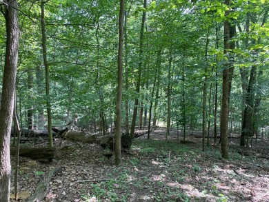 Beautiful wooded lot with a seasonal lake view in the gated on Hide-A-Way Hills Club in Ohio - for sale on GolfHomes.com, golf home, golf lot