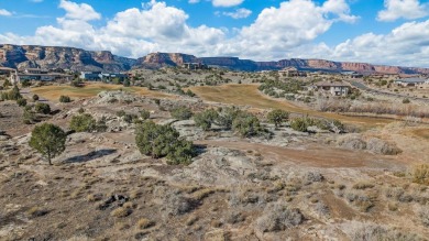 Epic 1/2-acre lot with amazing 360-degree views of the Colorado on The Golf Club At Redlands Mesa in Colorado - for sale on GolfHomes.com, golf home, golf lot