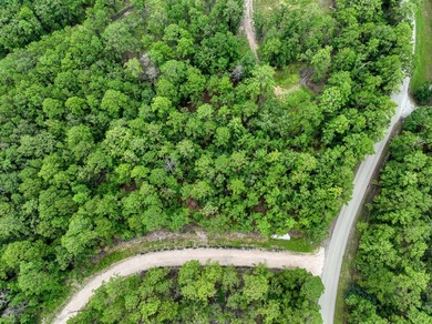 Unleash your lake life dreams with this exceptional opportunity on Rayburn Country Club in Texas - for sale on GolfHomes.com, golf home, golf lot