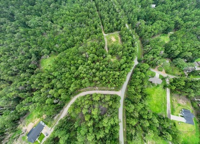 Unleash your lake life dreams with this exceptional opportunity on Rayburn Country Club in Texas - for sale on GolfHomes.com, golf home, golf lot