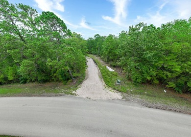 Unleash your lake life dreams with this exceptional opportunity on Rayburn Country Club in Texas - for sale on GolfHomes.com, golf home, golf lot