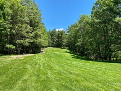 Timber Ridge Lot 29 on Timber Ridge Golf Club in Wisconsin - for sale on GolfHomes.com, golf home, golf lot