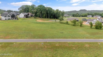 Becton Park | Lot 66 | Tennessee National

New Construction | on Tennessee National Golf Club in Tennessee - for sale on GolfHomes.com, golf home, golf lot