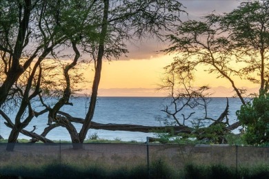 A rare chance to own Makena beachfront property awaits! Nestled on Wailea Golf Club in Hawaii - for sale on GolfHomes.com, golf home, golf lot