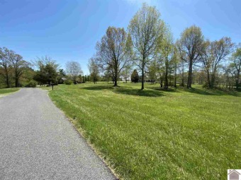 This is a 1 of a kind property with approx. 4 acres of frontage on Benton Golf & Country Club in Kentucky - for sale on GolfHomes.com, golf home, golf lot