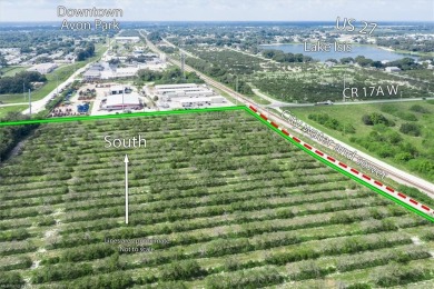 Prime 31+-Acre Development Opportunity in Central Florida - on River Greens Golf Course in Florida - for sale on GolfHomes.com, golf home, golf lot