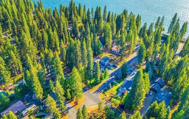 Welcome to your Lake View dream retreat in the highly on Lake Almanor Country Club in California - for sale on GolfHomes.com, golf home, golf lot