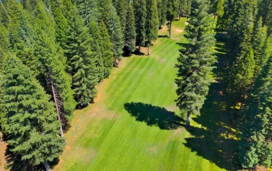 Experience the perfect mountain lifestyle in this wonderful Lake on Lake Almanor West Golf Course in California - for sale on GolfHomes.com, golf home, golf lot