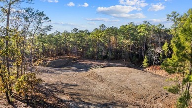 Embrace the vast possibilities of this extraordinary property on Rayburn Country Club in Texas - for sale on GolfHomes.com, golf home, golf lot