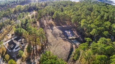 Embrace the vast possibilities of this extraordinary property on Rayburn Country Club in Texas - for sale on GolfHomes.com, golf home, golf lot