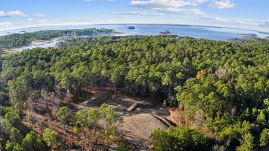 Embrace the vast possibilities of this extraordinary property on Rayburn Country Club in Texas - for sale on GolfHomes.com, golf home, golf lot