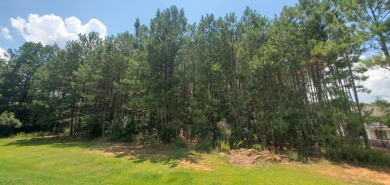For the Avid Golfer Ready to Build Their Dream!! Tee Off Your on The Club River Forest in Georgia - for sale on GolfHomes.com, golf home, golf lot