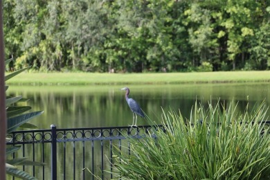 Introducing 102 Acadia -- the one you've been waiting for. A on Celebration Golf Club in Florida - for sale on GolfHomes.com, golf home, golf lot