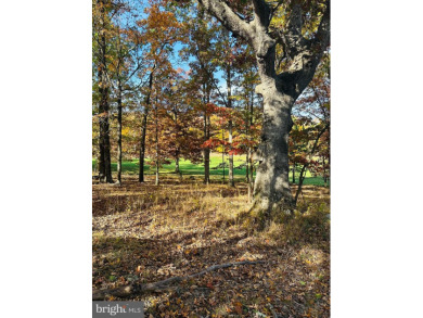 THIS BEAUTIFUL LOT IS READY FOR YOU TO BUILD YOUR DREAM HOME IN on Fore Sisters Golf Course in Maryland - for sale on GolfHomes.com, golf home, golf lot