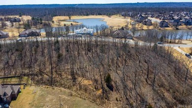 Incredible lot with the best view in Greystone! Build the home on Greystone Country Club in Arkansas - for sale on GolfHomes.com, golf home, golf lot