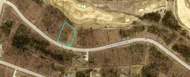 NEW! -  PRICE DROP on Quality - AFFORDABLE LOT!!  BRANSON HILLS on Payne Stewart Golf Club of Branson Hills - Front in Missouri - for sale on GolfHomes.com, golf home, golf lot